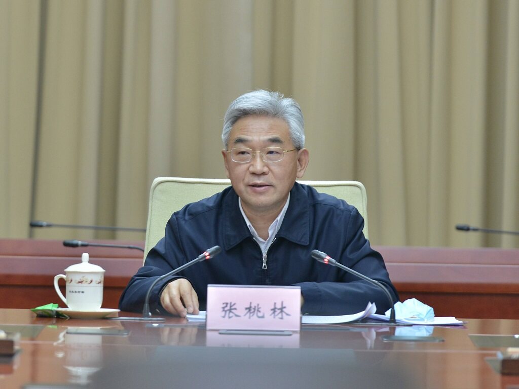 农业农村部副部长张桃林在全国农业机械化工作会议上的讲话