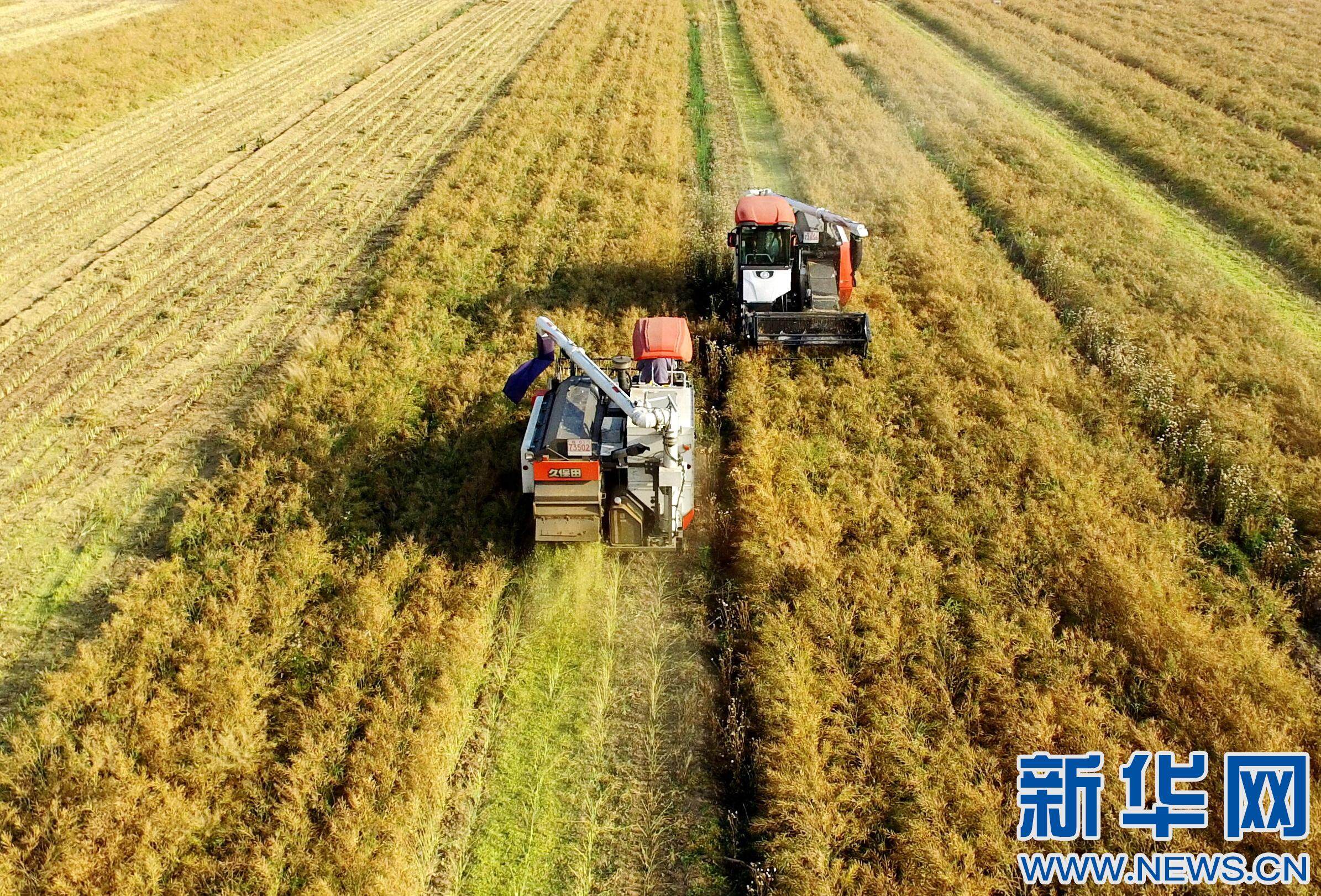 胡春华强调 采取过硬措施确保完成大豆油料扩种任务