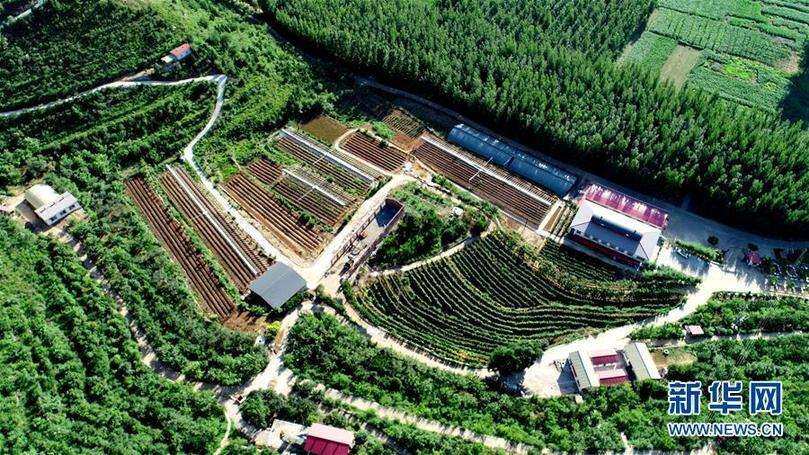 今年全国将创建100个左右农业现代化示范区
