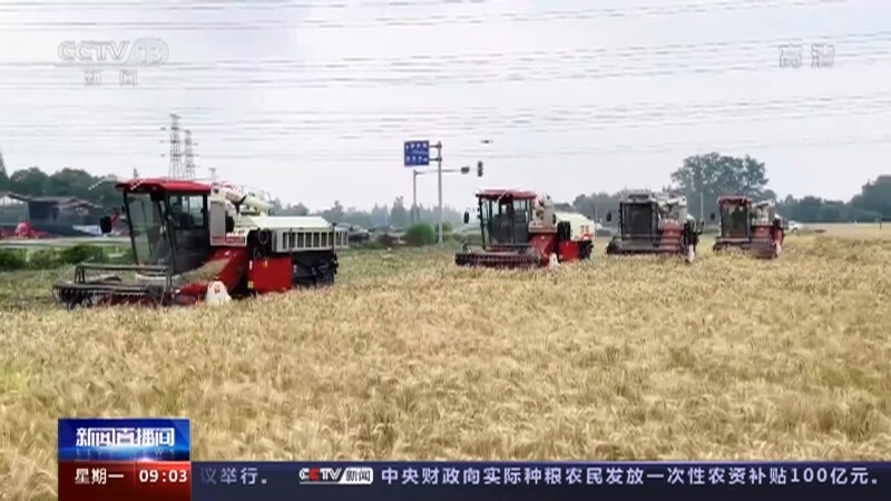 中央财政下达资金100亿元 再次向实际种粮农民发放一次性农资补贴