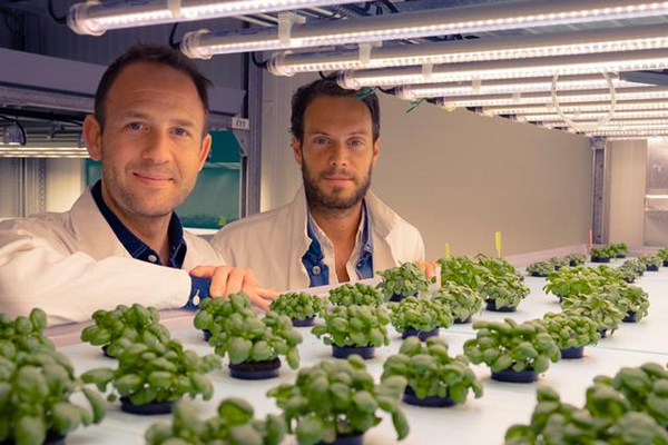 垂直农业产业需要什么才能更成功？
