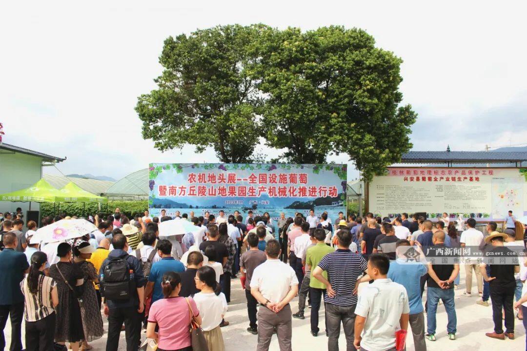 农机地头显身手！全国设施葡萄暨南方丘陵山地果园生产机械化推进行动在桂林兴安举行