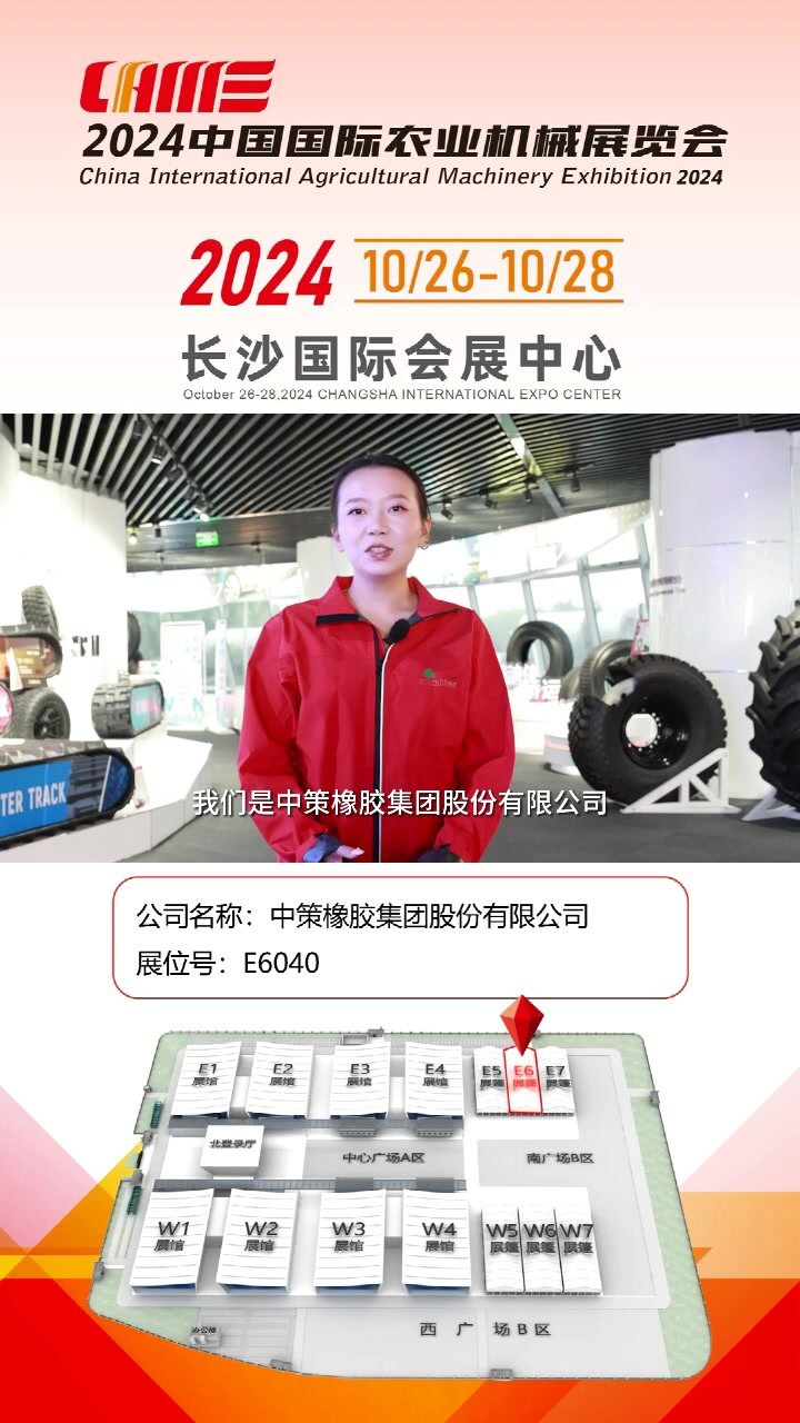 中策橡胶集团股份有限公司-E6040