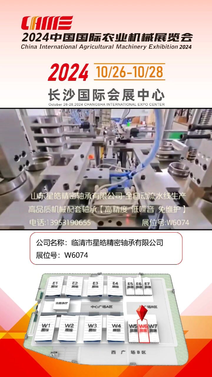 临清市星皓精密轴承有限公司-W6074