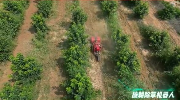 北京履坦科技有限公司