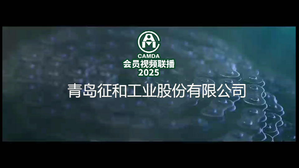 青岛征和工业股份有限公司