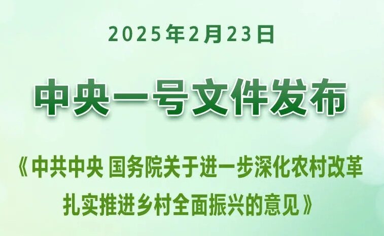 全文｜2025年中央一号文件发布！