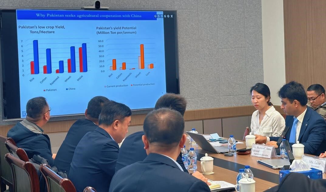 巴基斯坦图2.jpg